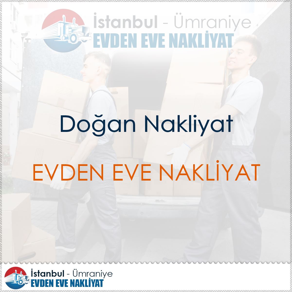 Doğan Nakliyat : Kapak Görseli