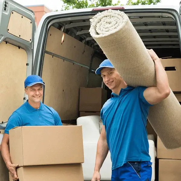 Kütüphane ve Kitaplar Taşınırken Kolilenecek! : Kapak Görseli